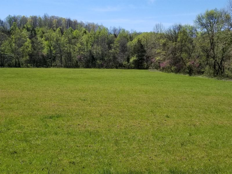 5 Acres Vacant Land Perry County : Linden : Perry County : Tennessee