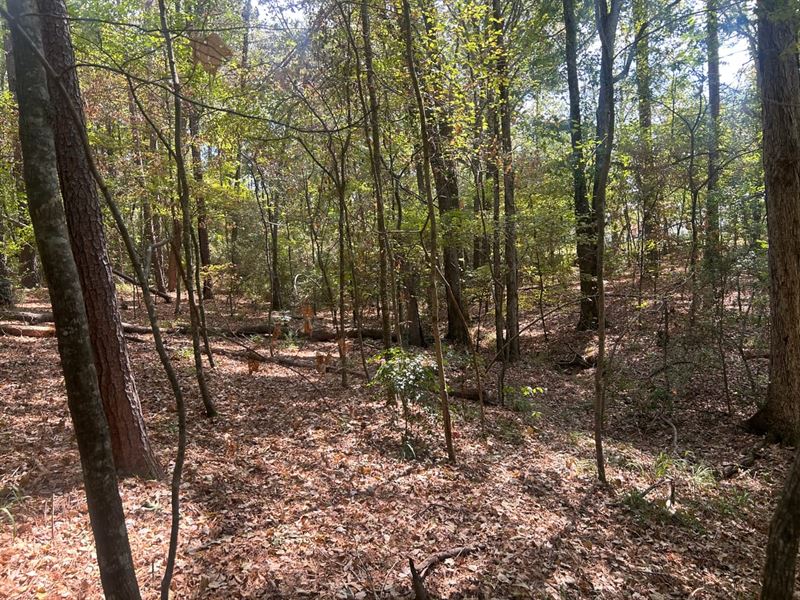 3.784 Acres in Woodland Oaks of Gar : Garrison : Nacogdoches County : Texas
