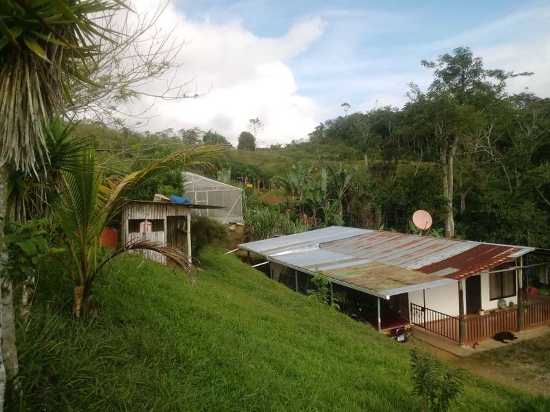 3 Ac, House, Greenhouse, Spring : La Suiza De Turrialba : Costa Rica