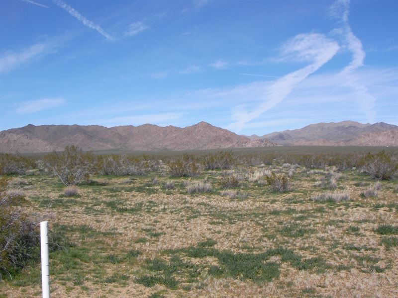 Nice, Scenic, Camp, Build, $246/Mo : Lucerne Valley : San Bernardino County : California