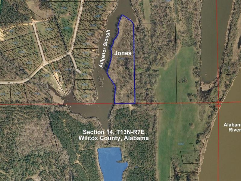 Alligator Slough Tract : Camden : Wilcox County : Alabama