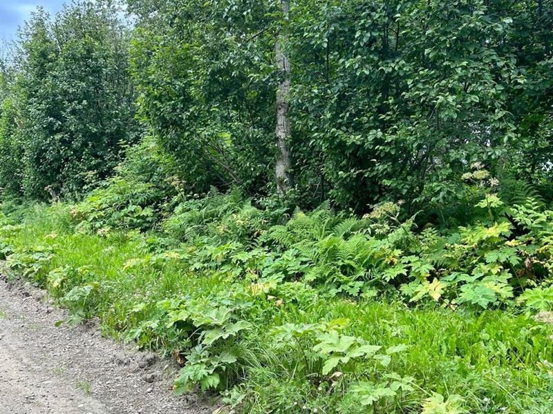 Large Lot, 3.44 Acres in Nikiski ni : Nikiski : Kenai Peninsula Borough : Alaska