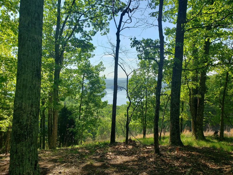 1.57 Acre Building Lot, Lake Views : Mooresburg : Hawkins County : Tennessee