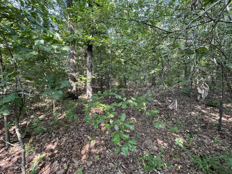 Lot in Horseshoe Bend, Arkansas : Horseshoe Bend : Izard County : Arkansas