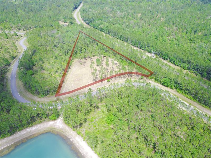 Lot 04 Deep Creek Plantation : Bryceville : Nassau County : Florida
