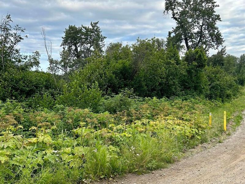 Good Sized Lot, 2.87 Acres in Nikis : Nikiski : Kenai Peninsula Borough : Alaska