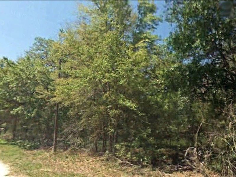 .20 Acre Great Place To Live & Play : Fort Mc Coy : Marion County : Florida