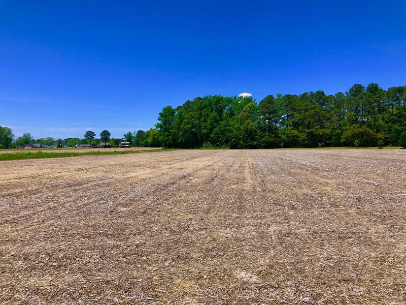 Development Land, Beaufort County : Chocowinity : Beaufort County : North Carolina