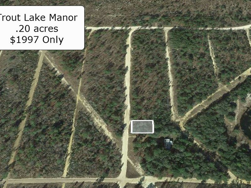 20 acre lots for sale