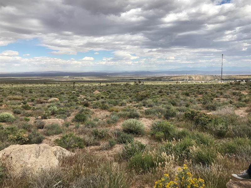 2.5 Acres Mojave, Kern County, CA : Mojave : Kern County : California