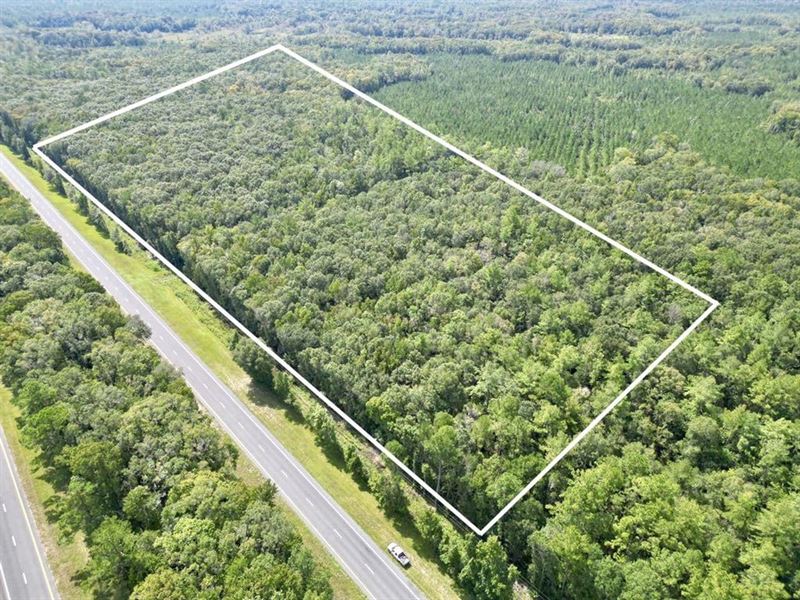 Us-19 Inglis 20 : Inglis : Levy County : Florida
