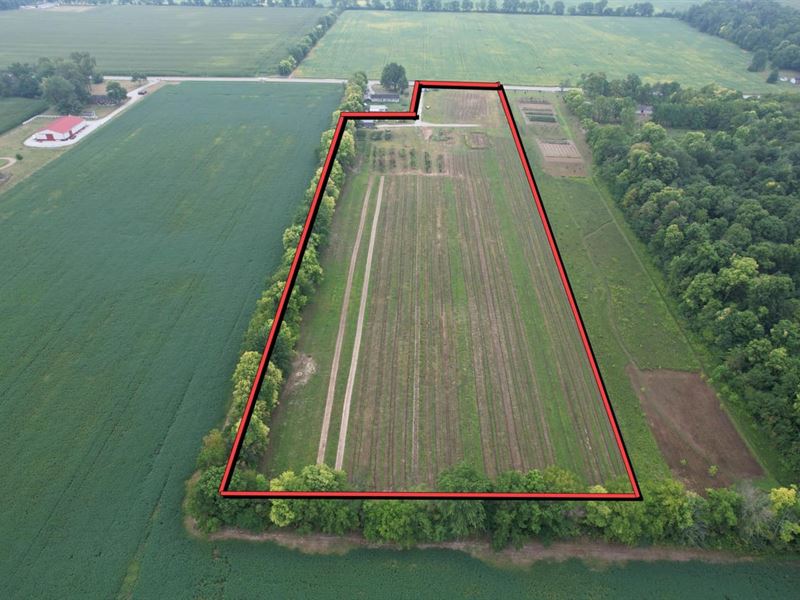 9.56 Acre Tree Farm with Road Front : Alexandria : Madison County : Indiana