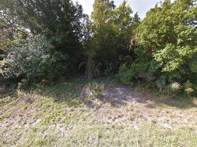 Oversized Camping / Investment Lot : North Port : Sarasota County : Florida