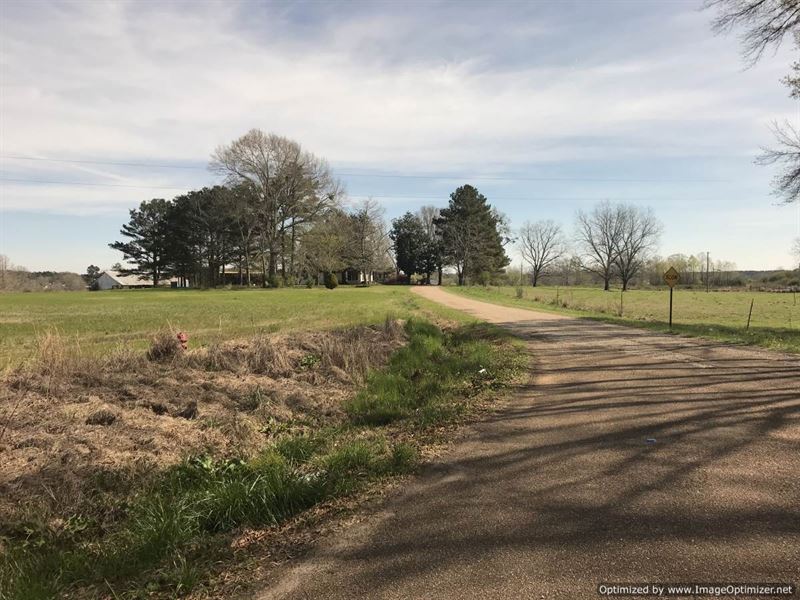 Beautiful 11 Acre Hayfield : Wesson : Lincoln County : Mississippi