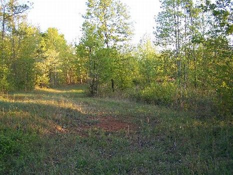 Beautiful 6+/- Acre Homesite : Hollins : Clay County : Alabama