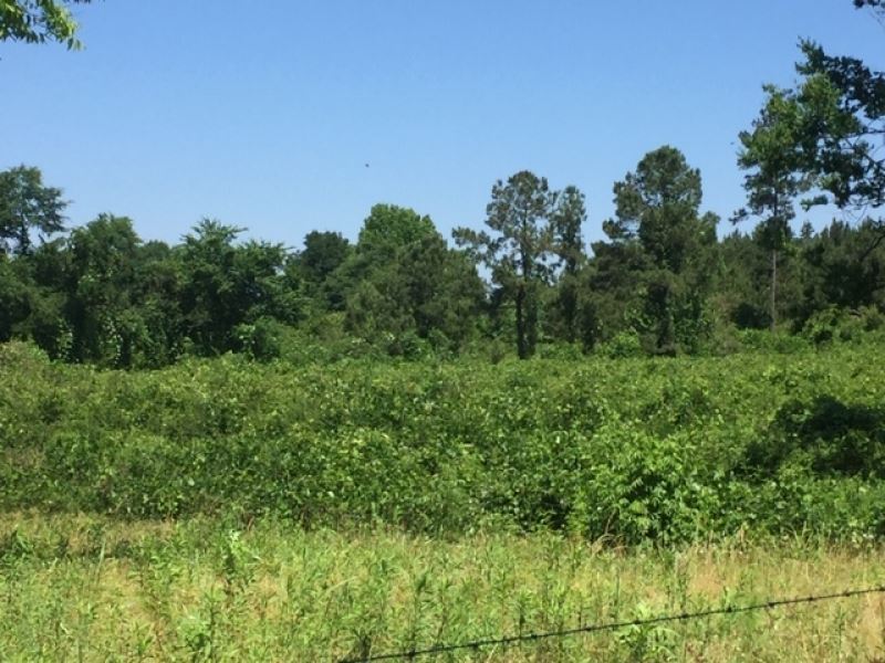 6 Acres Hwy 48 : Tylertown : Walthall County : Mississippi