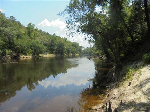 Dyer, River Lot : Lee : Madison County : Florida