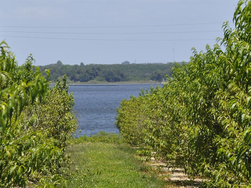 Lake Clinch Residential : Lake Wales : Polk County : Florida