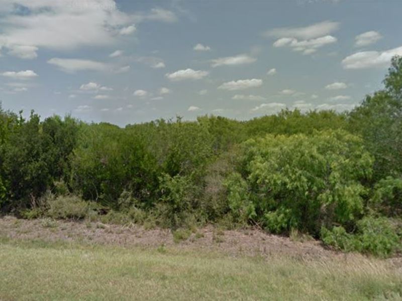 Your Dream Home Site in George West : George West : Live Oak County : Texas