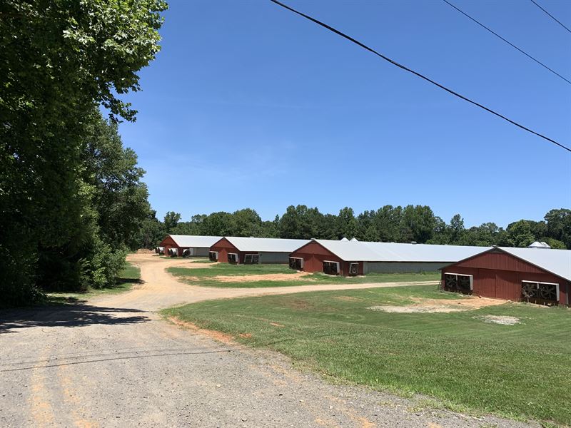 Four Breeder Hen Farm with Land : Talking Rock : Gilmer County : Georgia