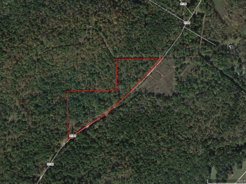 Great Wooded Tract : Jacksonville : Cherokee County : Texas