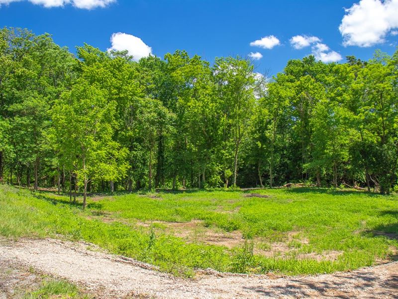 2 Lots, Buildable, Cleared, Private : Carlinville : Macoupin County : Illinois