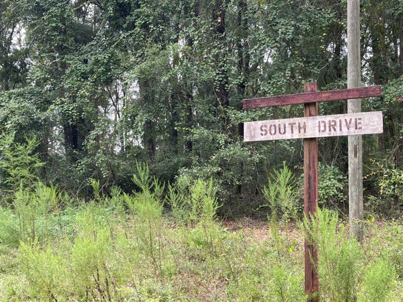 Canoe Country 1.16 : Mayo : Lafayette County : Florida