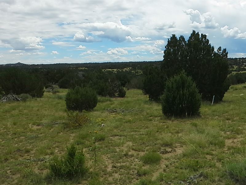 2.23 Acres Near Lathrop State Park : Walsenburg : Huerfano County : Colorado