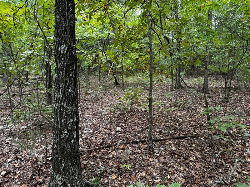8 Lots in Horseshoe Bend, Arkansas : Horseshoe Bend : Izard County : Arkansas