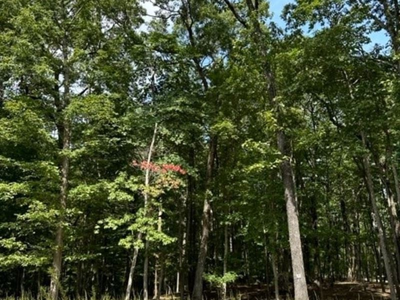 3.21 Acres Beautiful Lot in Eagle : Monteagle : Marion County : Tennessee