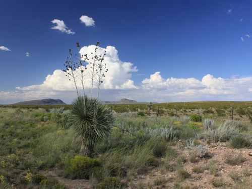 $0 Down 20 Acs. Near Paved Hwy : Sierra Blanca : Hudspeth County : Texas