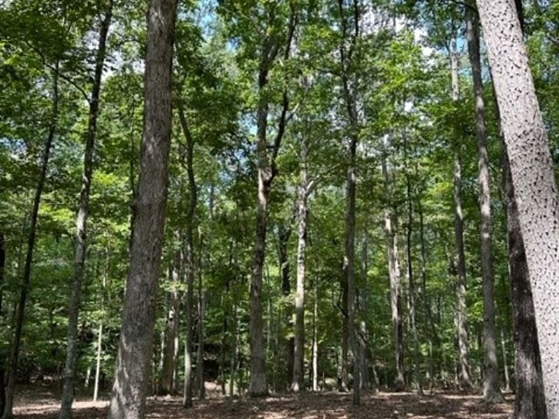 3.11 Acres Beauitful Level Lot NE : Monteagle : Marion County : Tennessee