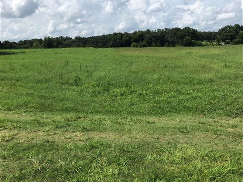 5 Acres Lake Access : Brooksville : Hernando County : Florida