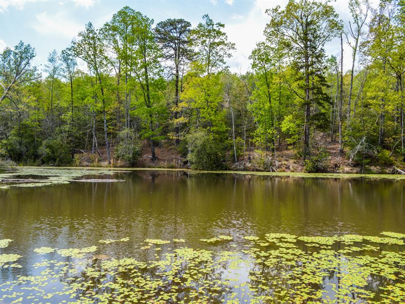 Adjoining 20Ac Tracts, Large Pond : Woodruff : Spartanburg County : South Carolina