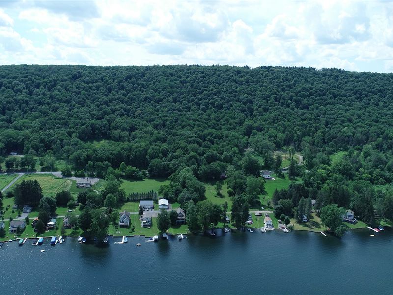 Cazenovia Lake Building Lot : De Witt : Onondaga County : New York
