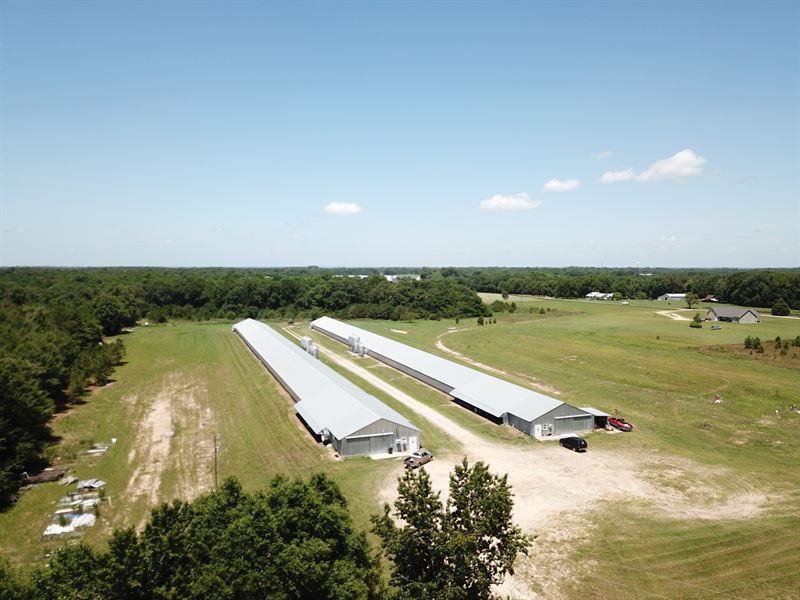Sanders Breeder Farm : Newville : Dale County : Alabama