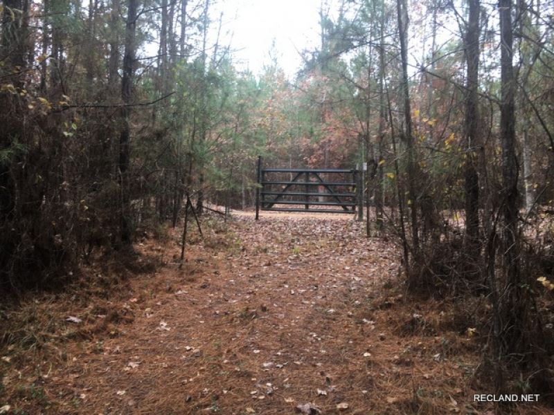 12 Ac, Wooded Recreational Tract : Chatham : Jackson Parish : Louisiana
