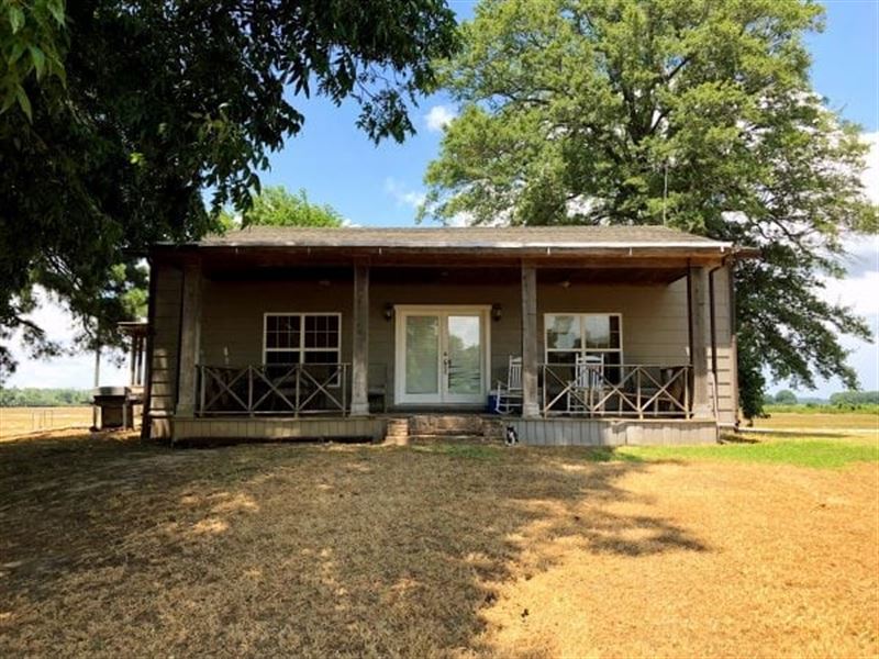 Hill Cabin on East Lake : Holly Grove : Monroe County : Arkansas