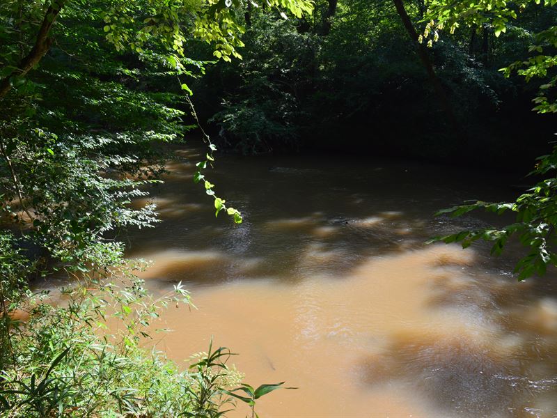 3.41 Acres On The South Tyger River : Roebuck : Spartanburg County : South Carolina