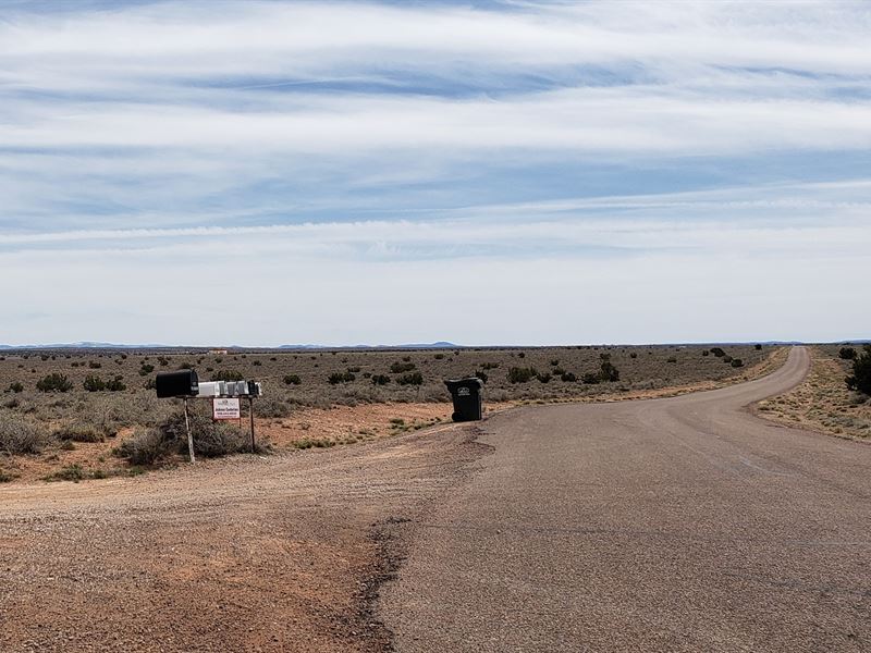 Nice Corner Lot, $125/Month : Snowflake : Navajo County : Arizona
