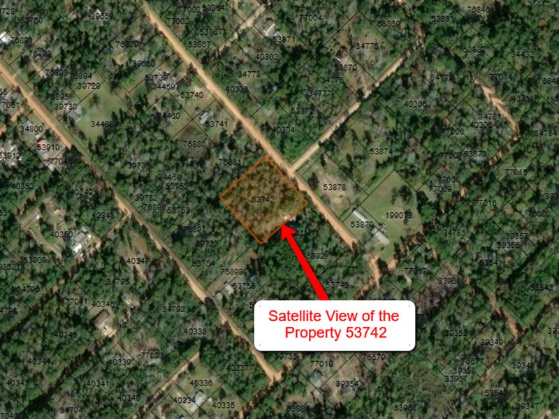 1.43 Acres Of Wooded Land : Livingston : Polk County : Texas