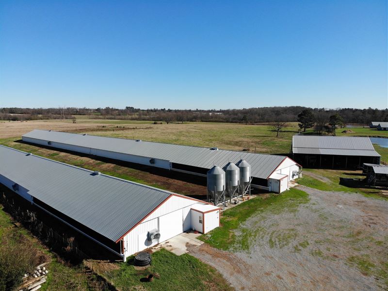 Cullman County Poultry Farm : Cullman : Cullman County : Alabama