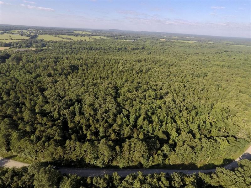 Quitman 15 Ac, Bettis Dr : Quitman : Cleburne County : Arkansas