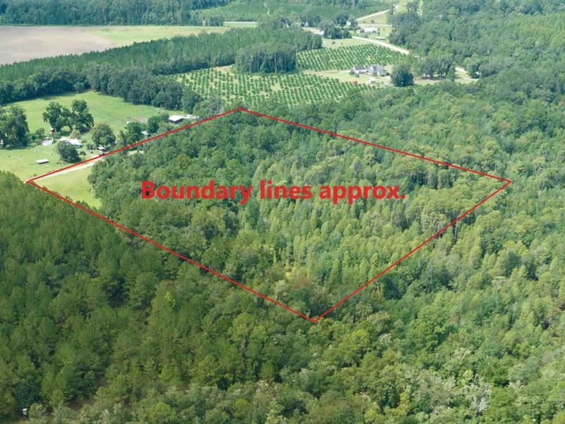 NW 28th St : Jennings : Hamilton County : Florida