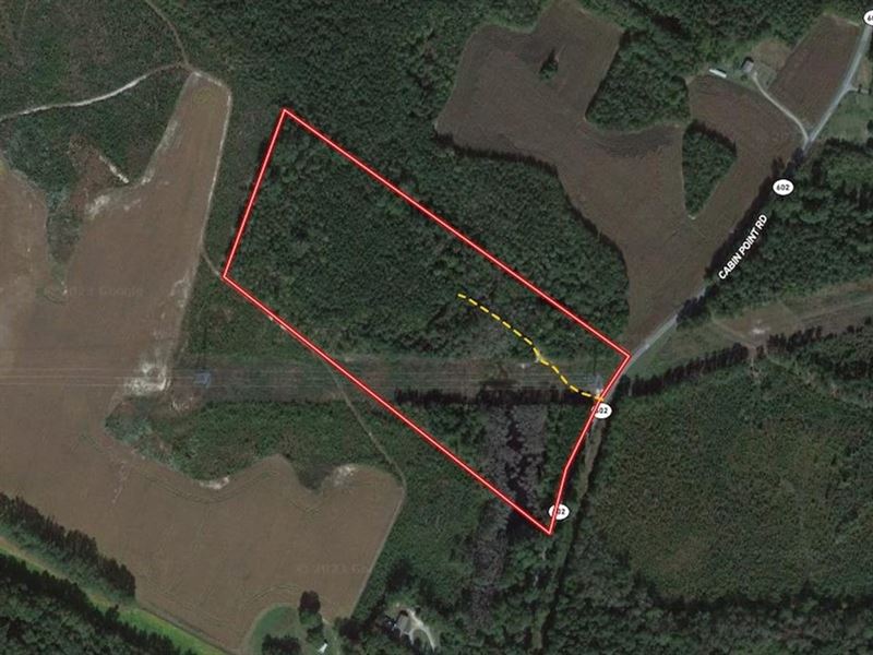 15 Acres of Timbe : Disputanta : Sussex County : Virginia