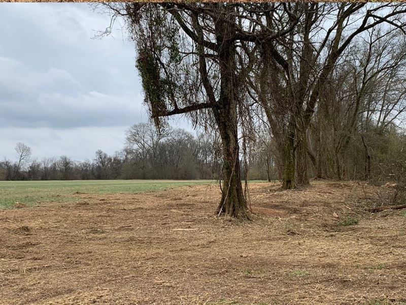 3 Acres on The Ouachita River in Ho : Friendship : Hot Spring County : Arkansas