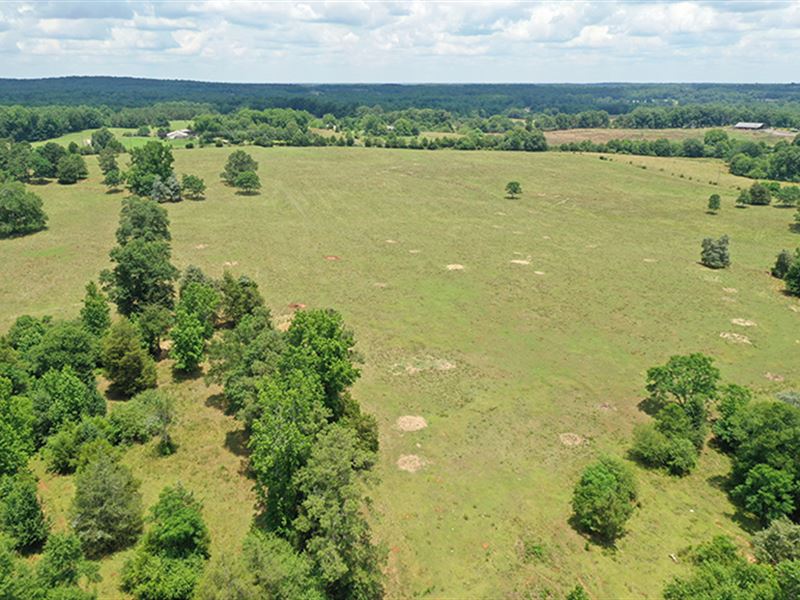 Awesome Pasture Home Site/Mini Farm : Barnesville : Lamar County : Georgia