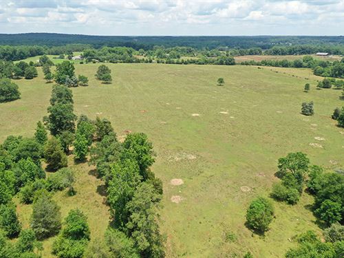 Awesome Pasture Home Site/Mini Farm : Barnesville : Lamar County : Georgia