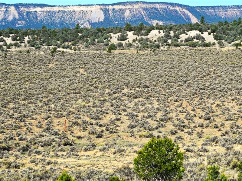 Rancho Del Vado 11.95 : Tierra Amarilla : Rio Arriba County : New Mexico