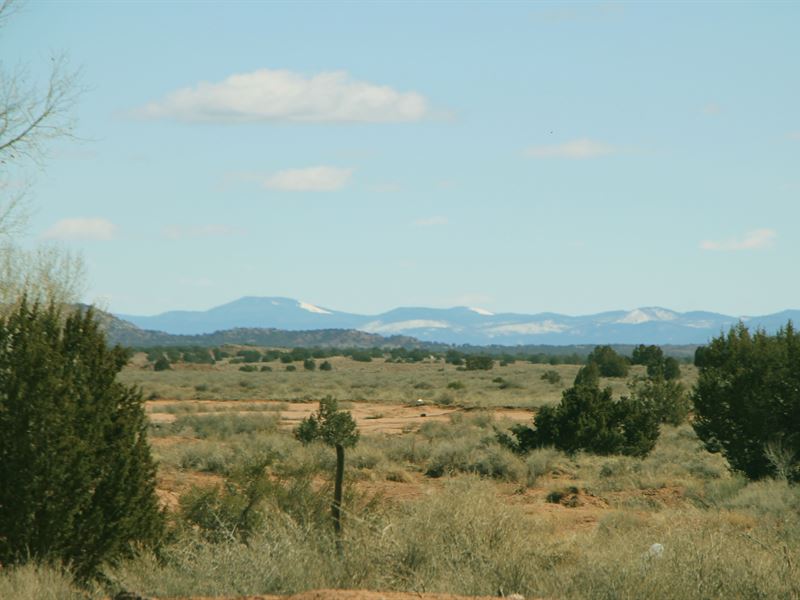 Northern AZ High Country Homesites : Snowflake : Navajo County : Arizona